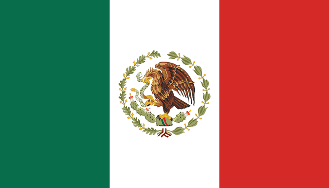 Plataforma México - verificación de antecedentes de guardias de seguridad